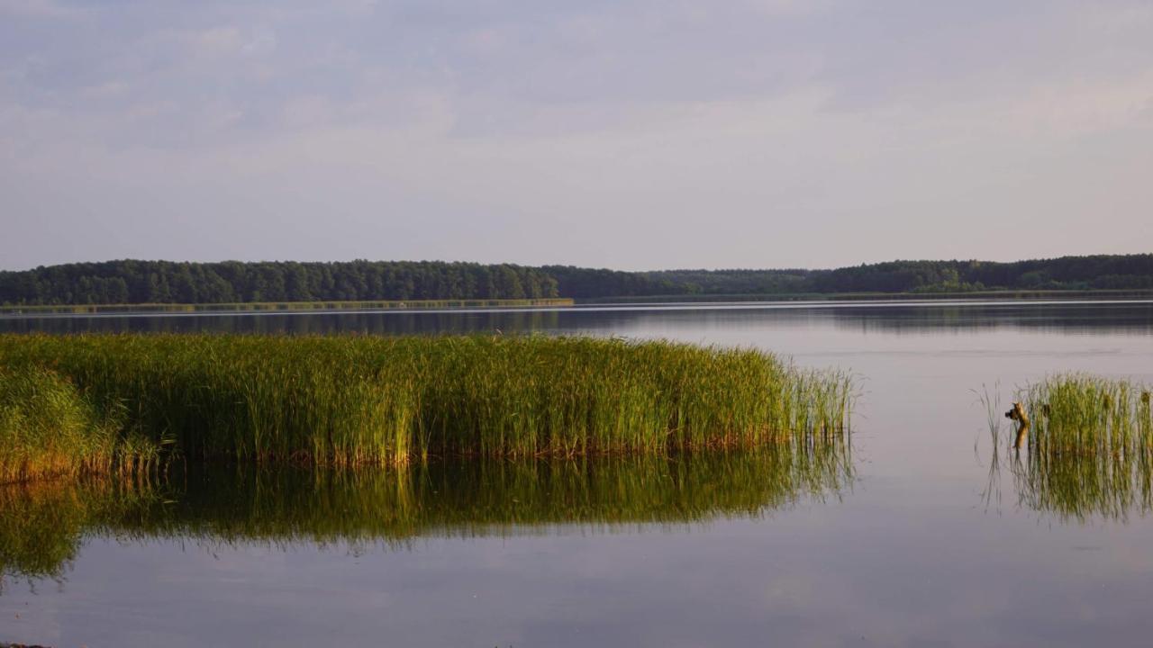 Yacht Club Apartamenty Radzyń 外观 照片